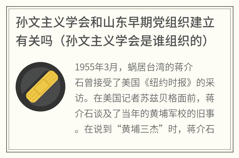 孙文主义学会和山东早期党组织建立有关吗（孙文主义学会是谁组织的）