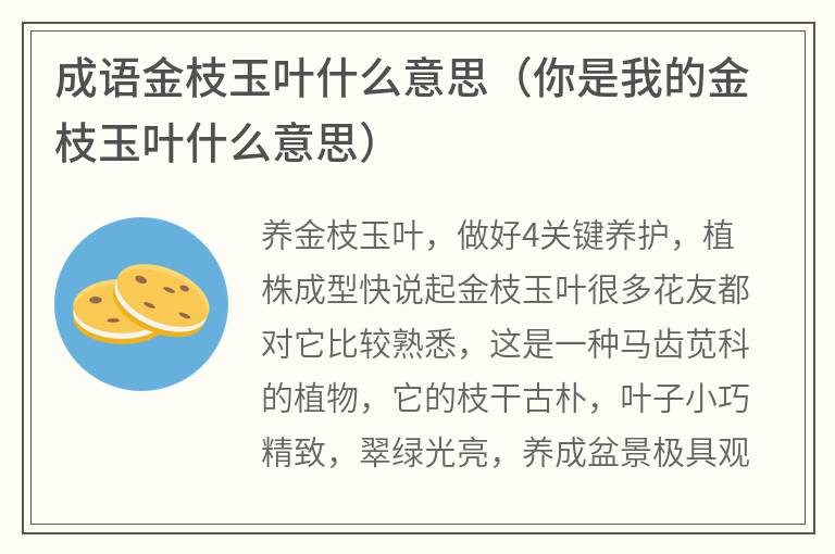 成语金枝玉叶什么意思（你是我的金枝玉叶什么意思）