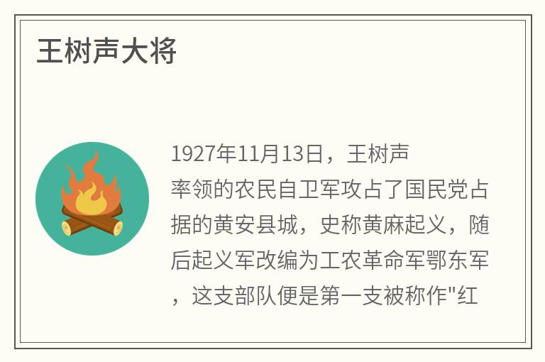 王树声大将