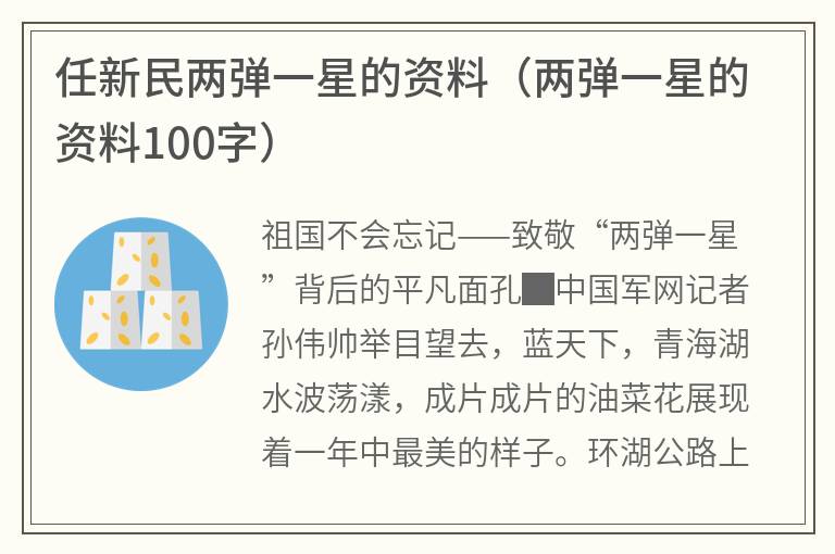 任新民两弹一星的资料（两弹一星的资料100字）