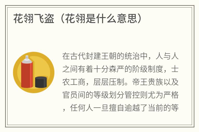 花翎飞盗（花翎是什么意思）