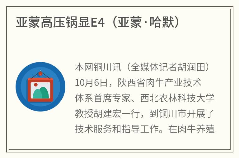 亚蒙高压锅显E4（亚蒙·哈默）