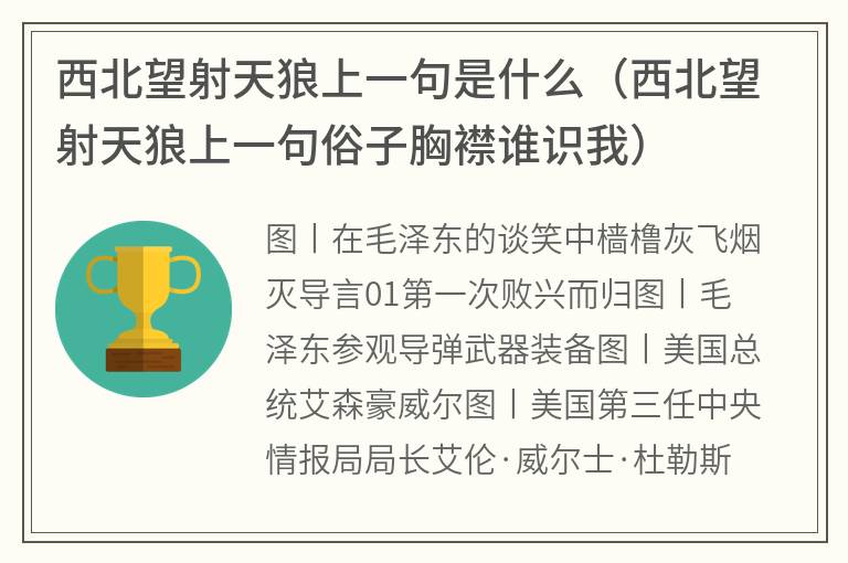 西北望射天狼上一句是什么（西北望射天狼上一句俗子胸襟谁识我）