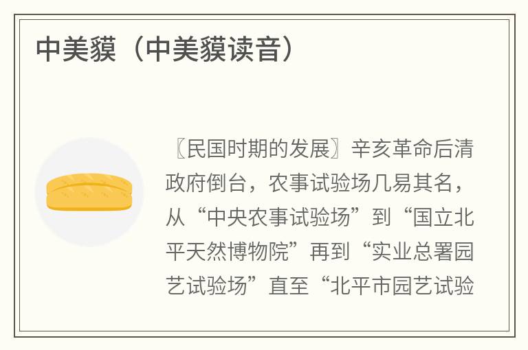 中美貘（中美貘读音）