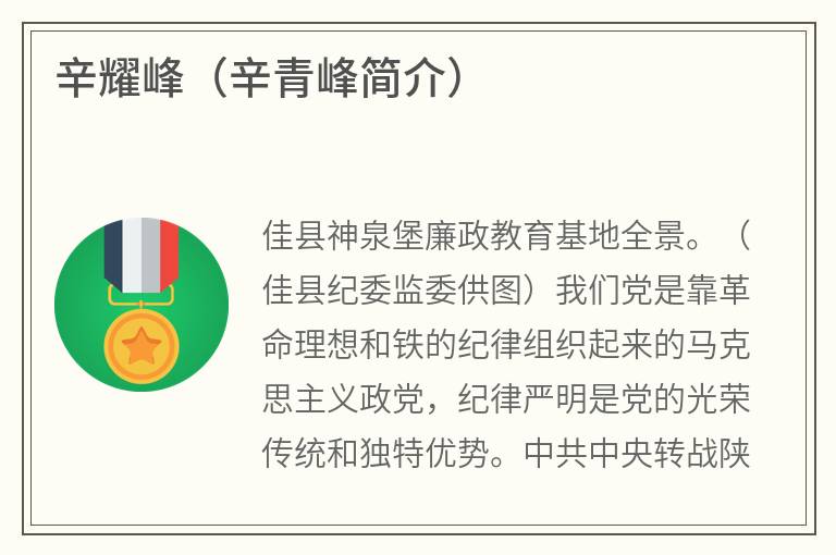 辛耀峰（辛青峰简介）