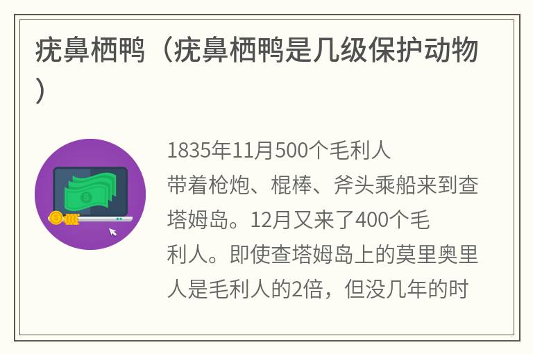 疣鼻栖鸭（疣鼻栖鸭是几级保护动物）