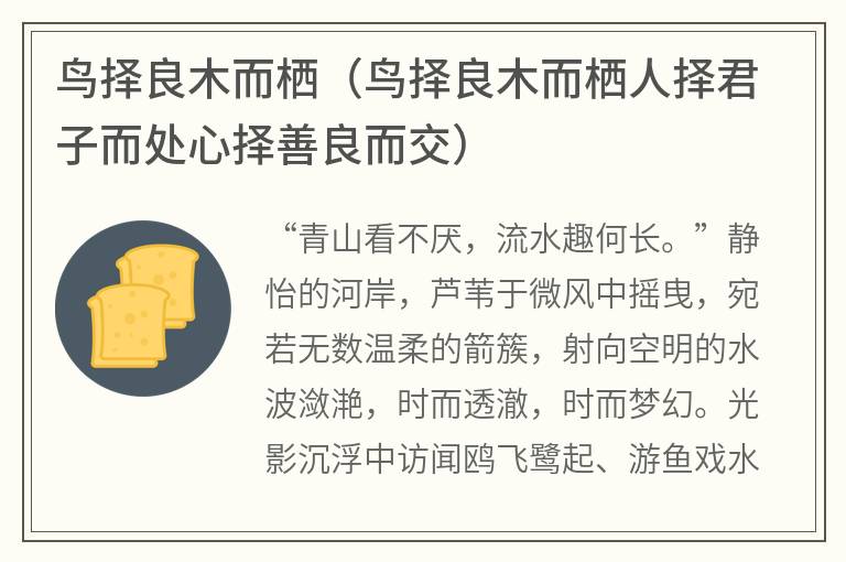 鸟择良木而栖（鸟择良木而栖人择君子而处心择善良而交）