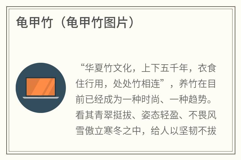 龟甲竹（龟甲竹图片）
