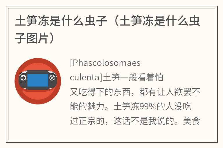 土笋冻是什么虫子（土笋冻是什么虫子图片）