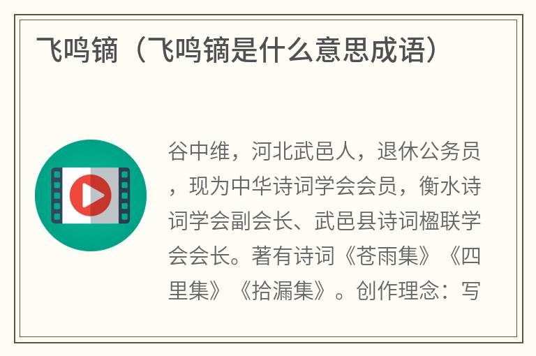 飞鸣镝（飞鸣镝是什么意思成语）