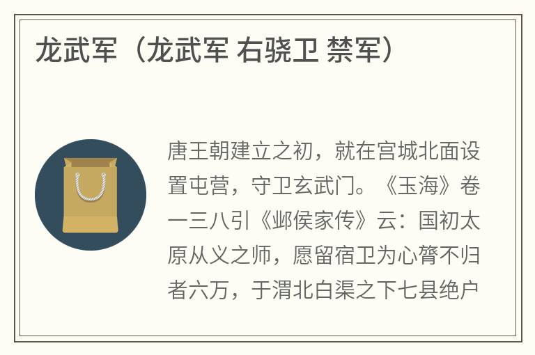 龙武军（龙武军右骁卫禁军）