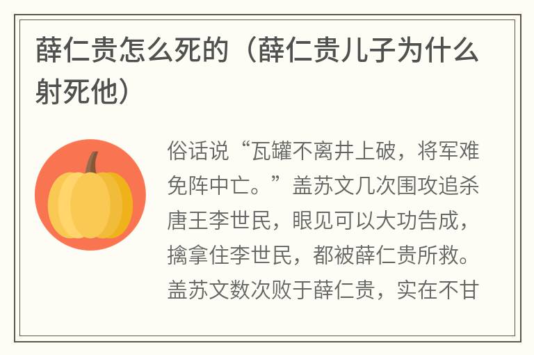 薛仁贵怎么死的（薛仁贵儿子为什么射死他）
