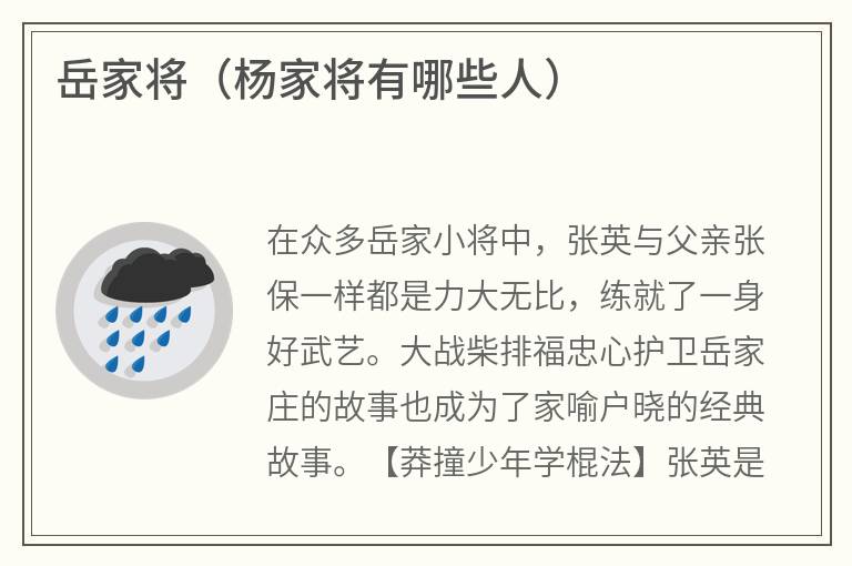 岳家将（杨家将有哪些人）