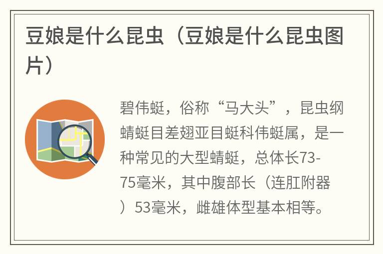 豆娘是什么昆虫（豆娘是什么昆虫图片）