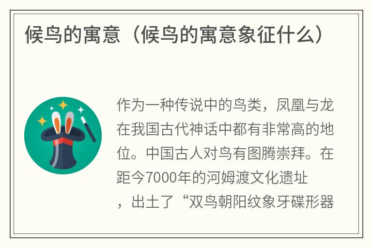 候鸟的寓意（候鸟的寓意象征什么）