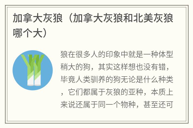 加拿大灰狼（加拿大灰狼和北美灰狼哪个大）