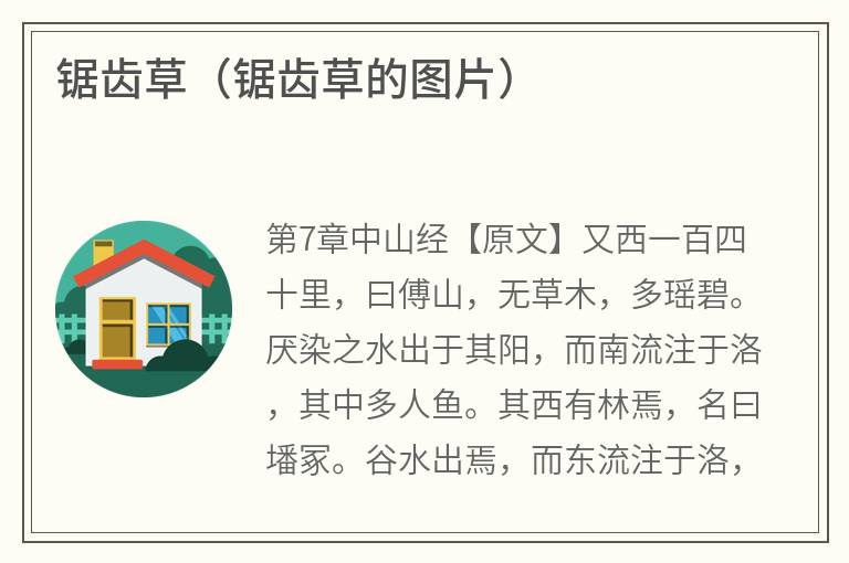 锯齿草（锯齿草的图片）