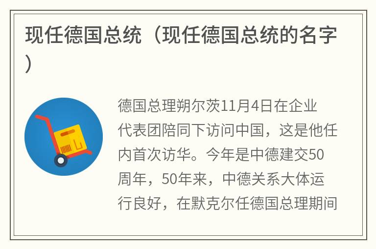 现任德国总统（现任德国总统的名字）
