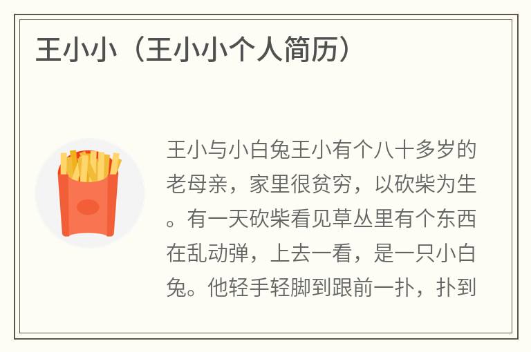 王小小（王小小个人简历）