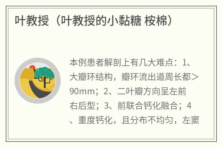 叶教授（叶教授的小黏糖桉棉）