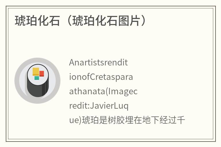 琥珀化石（琥珀化石图片）