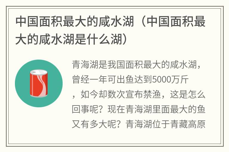 中国面积最大的咸水湖（中国面积最大的咸水湖是什么湖）