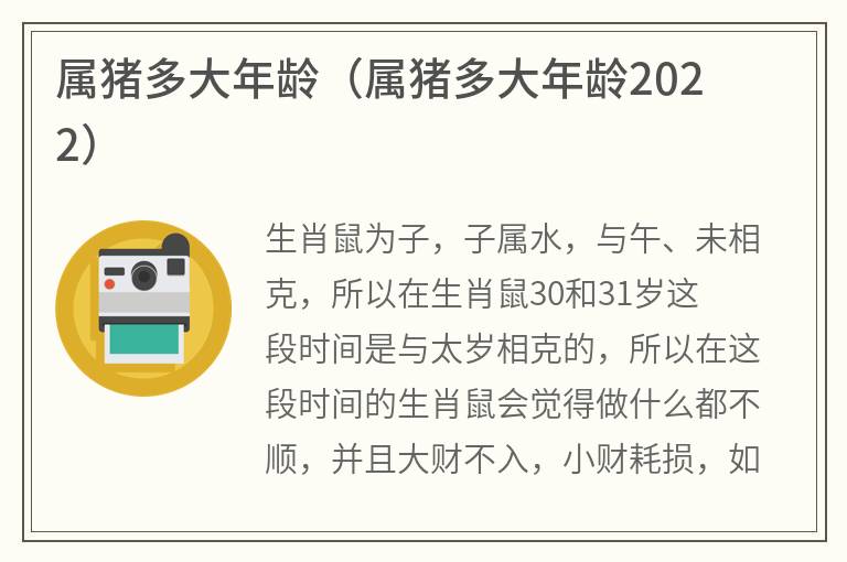 属猪多大年龄（属猪多大年龄2022）