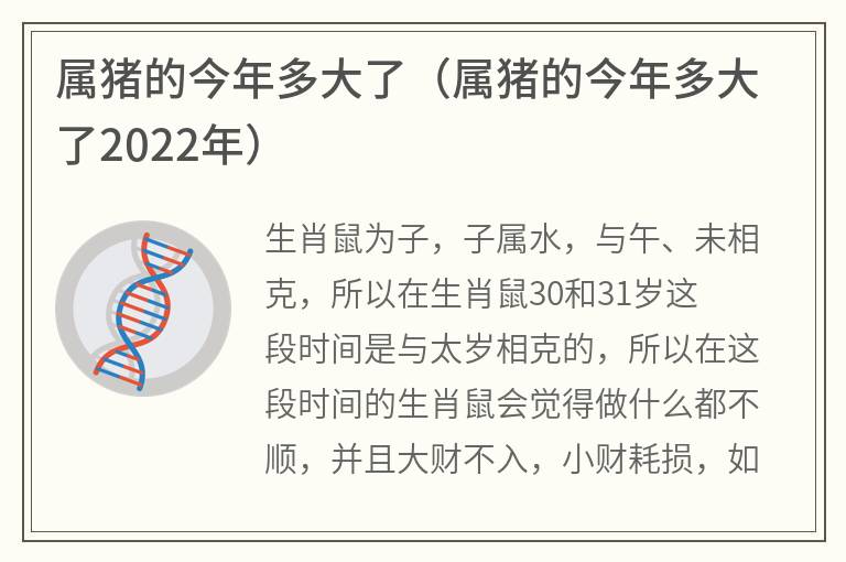 属猪的今年多大了（属猪的今年多大了2022年）