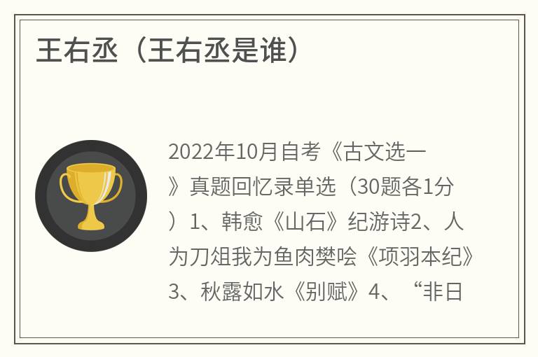 王右丞（王右丞是谁）