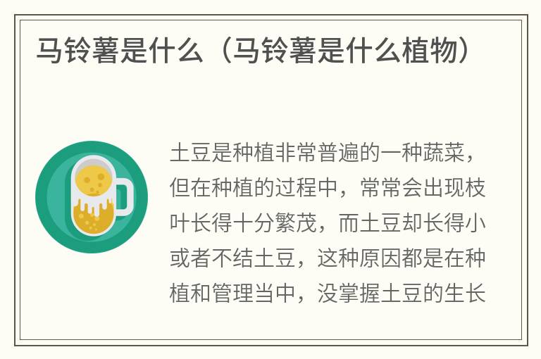 马铃薯是什么（马铃薯是什么植物）