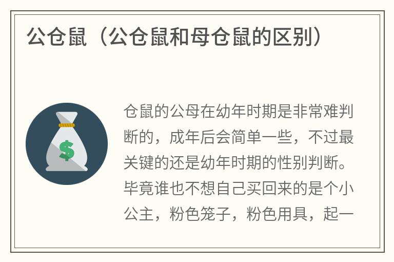 公仓鼠（公仓鼠和母仓鼠的区别）