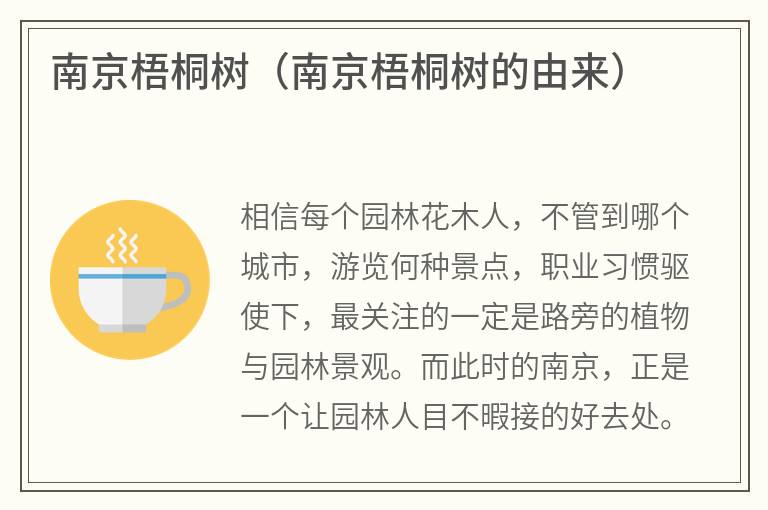 南京梧桐树（南京梧桐树的由来）