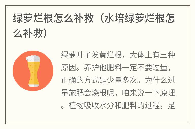 绿萝烂根怎么补救（水培绿萝烂根怎么补救）