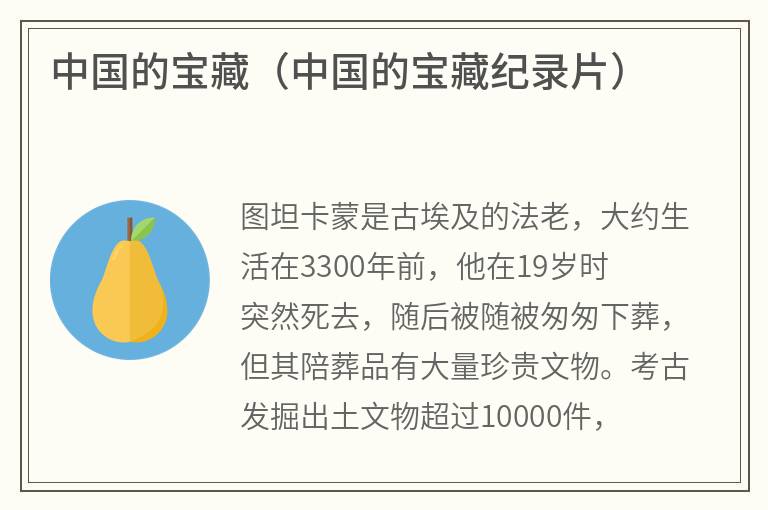 中国的宝藏（中国的宝藏纪录片）