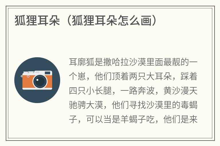 狐狸耳朵（狐狸耳朵怎么画）