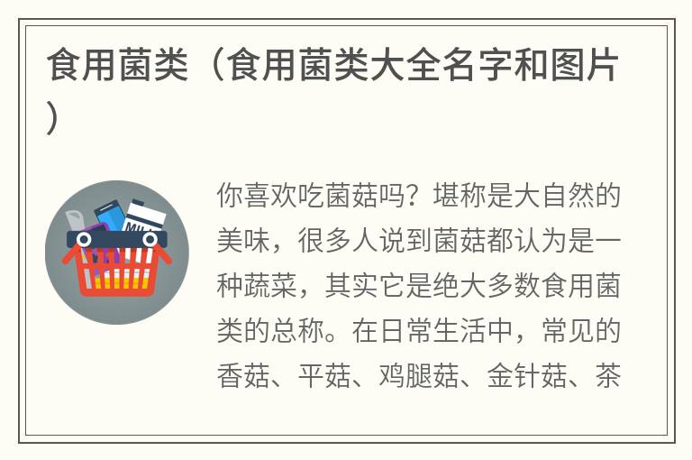 食用菌类（食用菌类大全名字和图片）