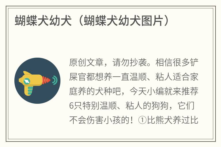 蝴蝶犬幼犬（蝴蝶犬幼犬图片）