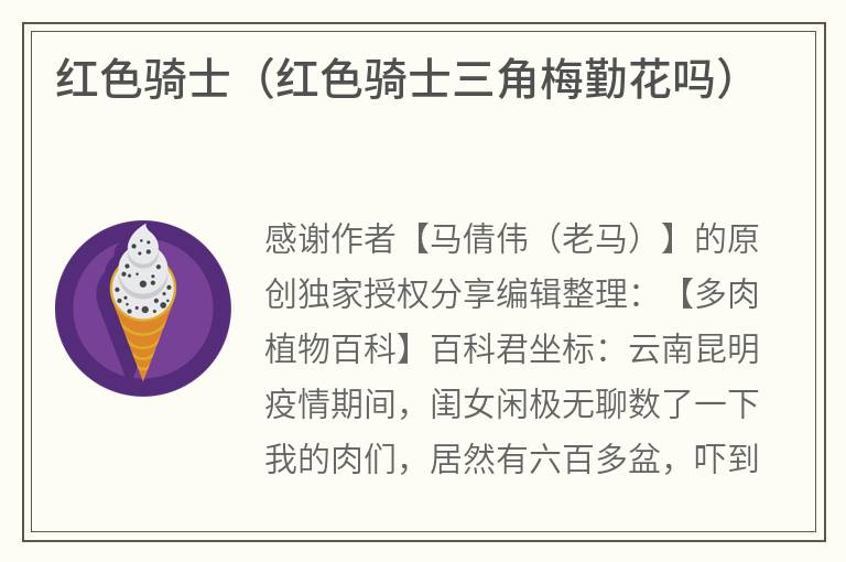 红色骑士（红色骑士三角梅勤花吗）