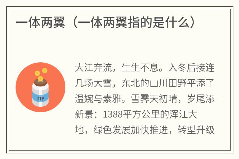 一体两翼（一体两翼指的是什么）