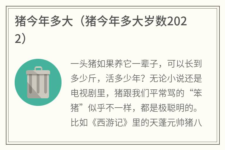 猪今年多大（猪今年多大岁数2022）