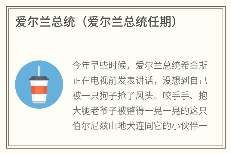 爱尔兰总统（爱尔兰总统任期）