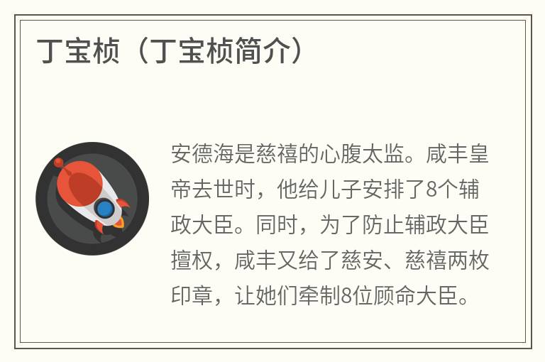 丁宝桢（丁宝桢简介）