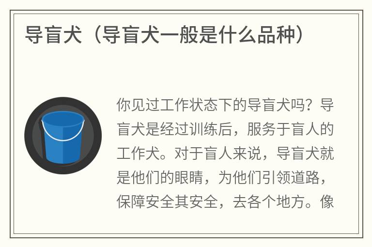 导盲犬（导盲犬一般是什么品种）