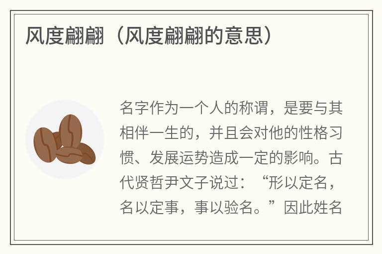 风度翩翩（风度翩翩的意思）