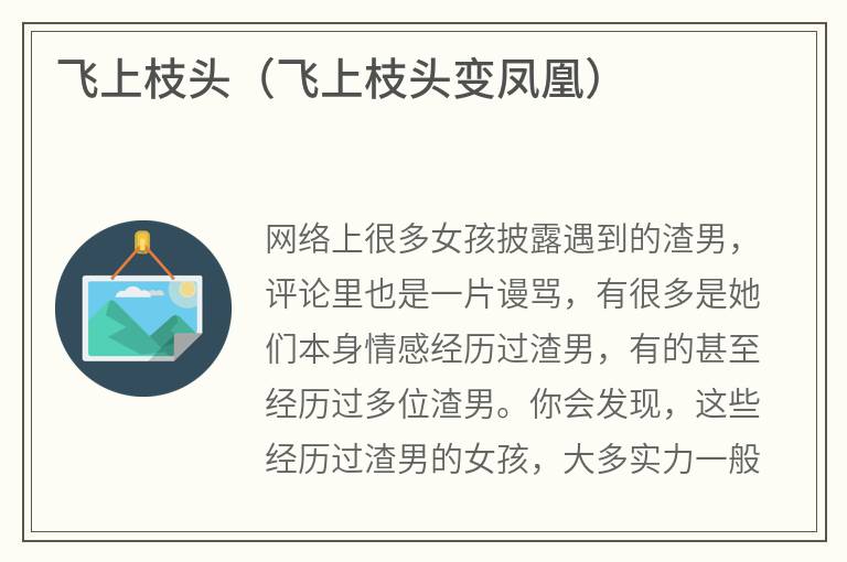 飞上枝头（飞上枝头变凤凰）