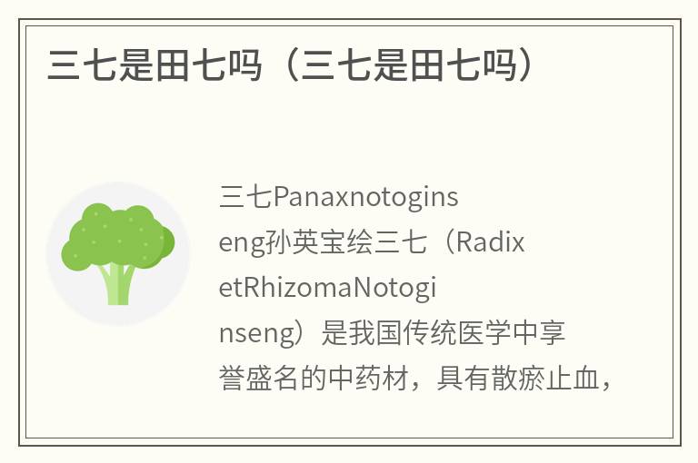三七是田七吗（三七是田七吗）