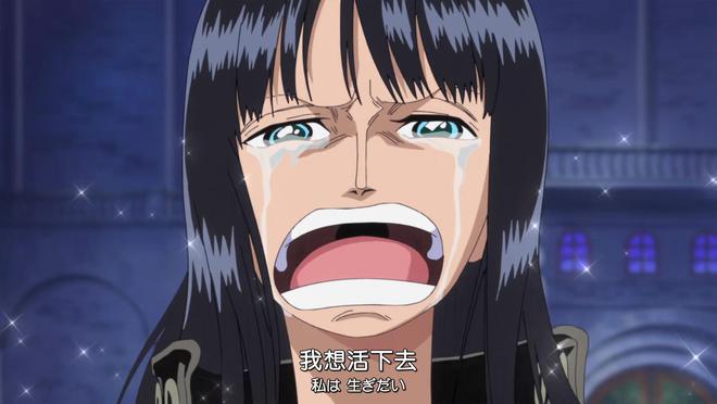 海贼王人物介绍视频_海贼王人物志_海贼王人物