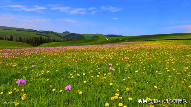 生态理论社会系统有哪些_社会生态系统理论_浅析社会生态系统理论