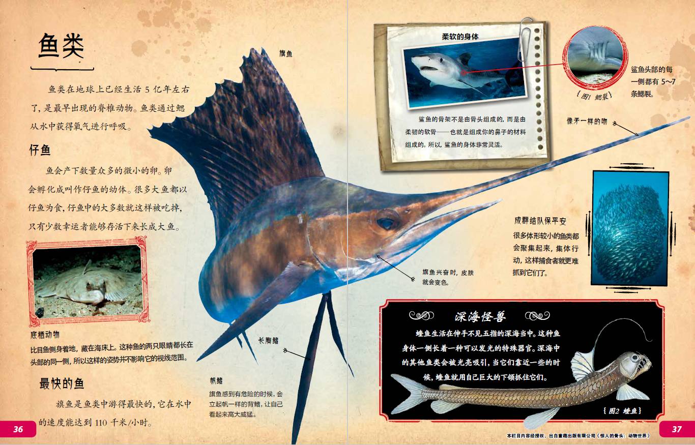 探索世界仅仅是因为好奇心吗_探索世界168_探索世界