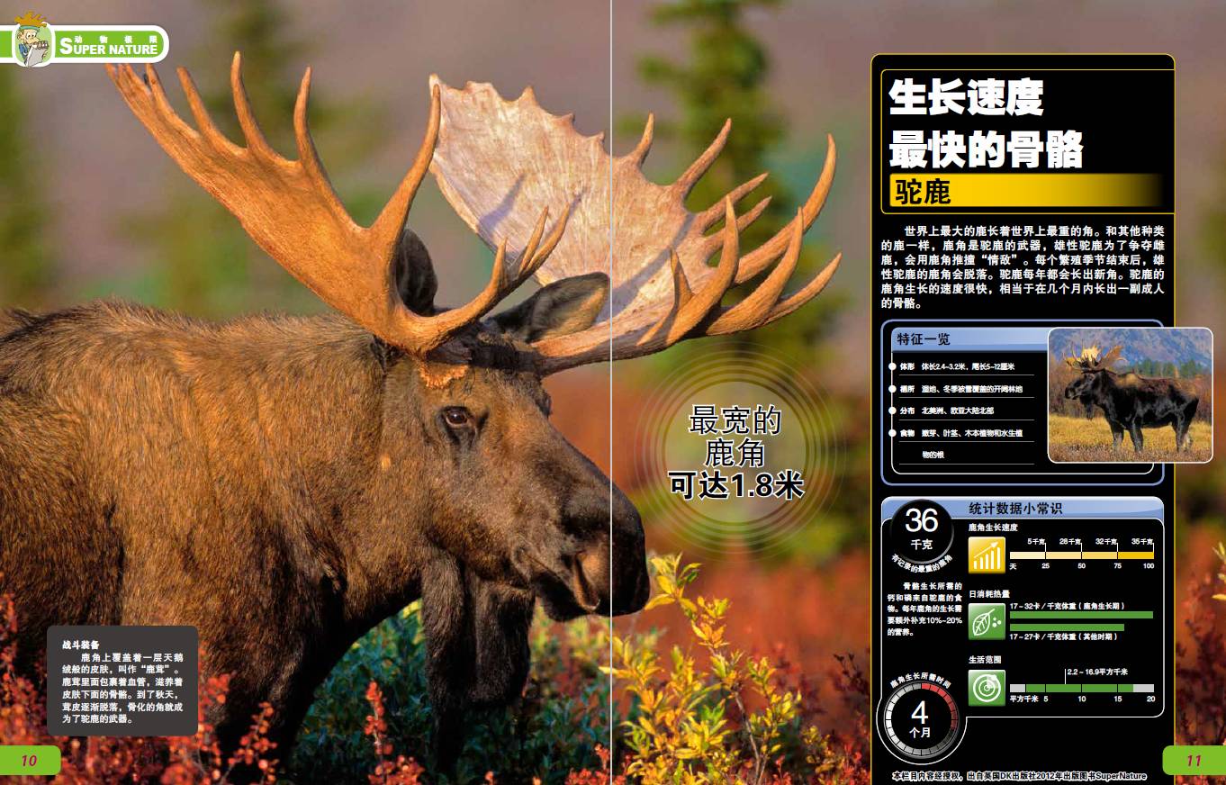 探索世界168_探索世界仅仅是因为好奇心吗_探索世界